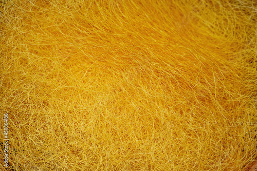 Yellow silkworm cocoon closeup macro shot