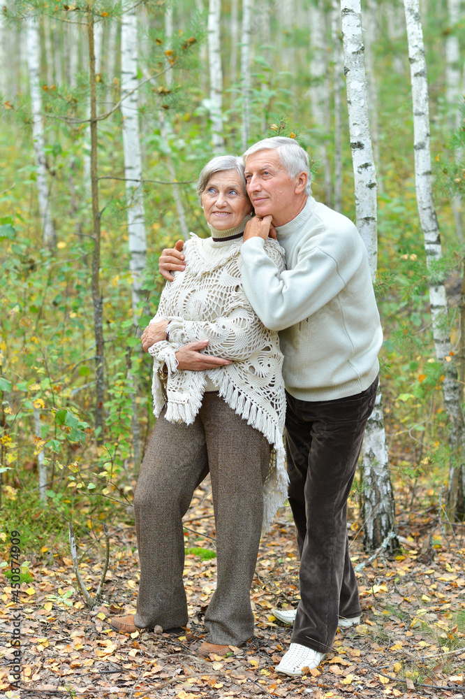 Fototapeta premium Portrait of happy senior couple resting in autumn birch forest