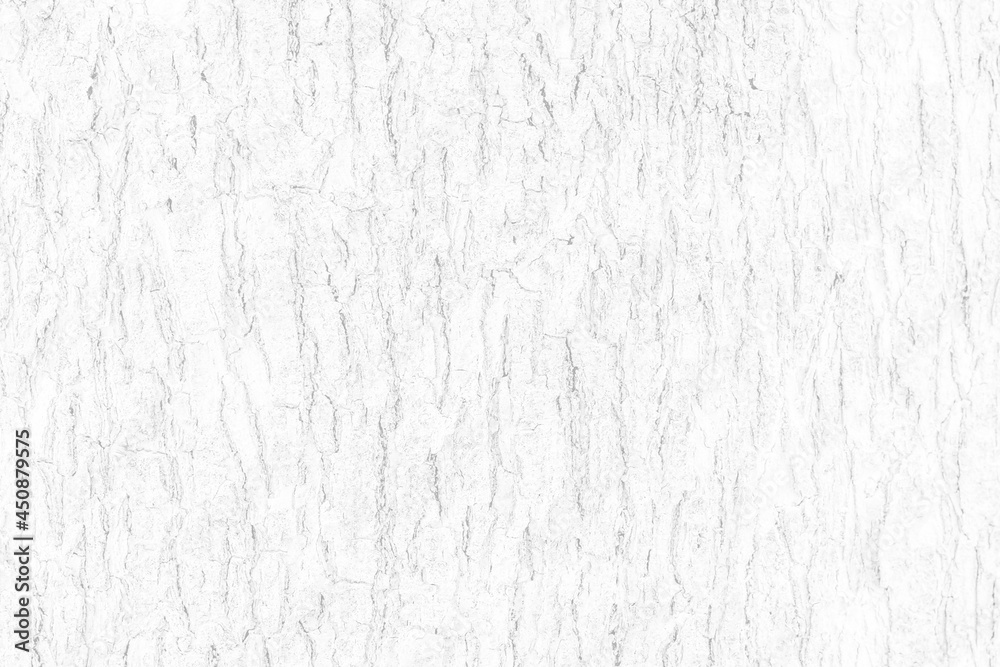 Obraz premium White wood plank texture background