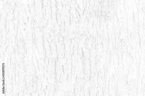 White wood plank texture background