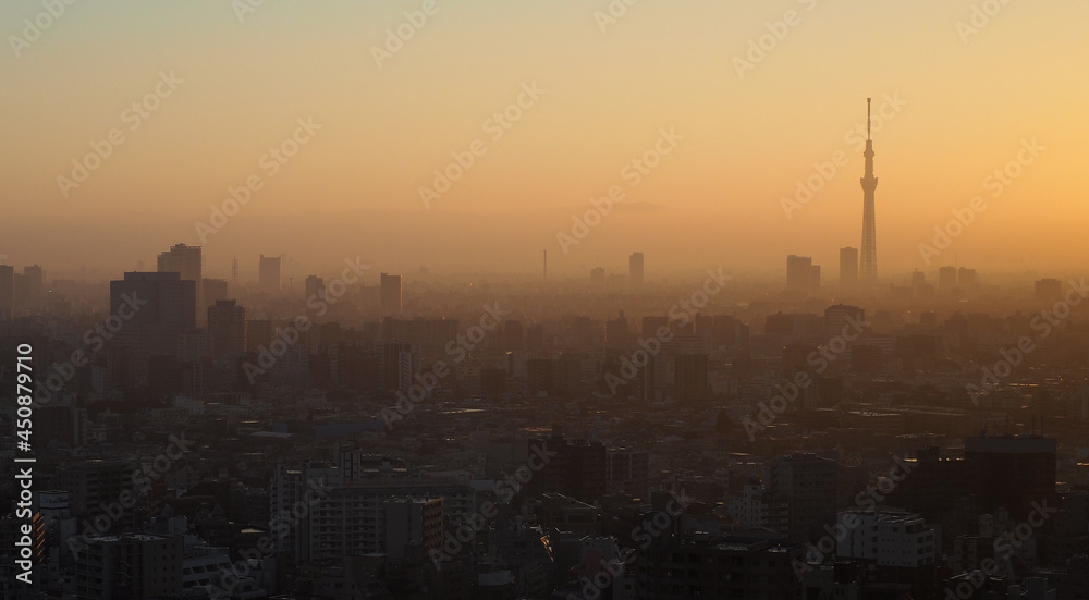 Tokyo city and Tokyo Sky tree tower. Aerial view of tokyo city with famous travel destination landmark for traveller. Tallest structure in world when built. Asakusa Tokyo district Japan. Tokyo city and Tokyo Sky tree tower. Aerial view of tokyo city with famous travel destination landmark for traveller. Tallest structure in world when built. Asakusa Tokyo district Japan.