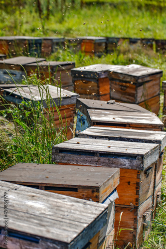 Outdoor grassland beekeeping beehive