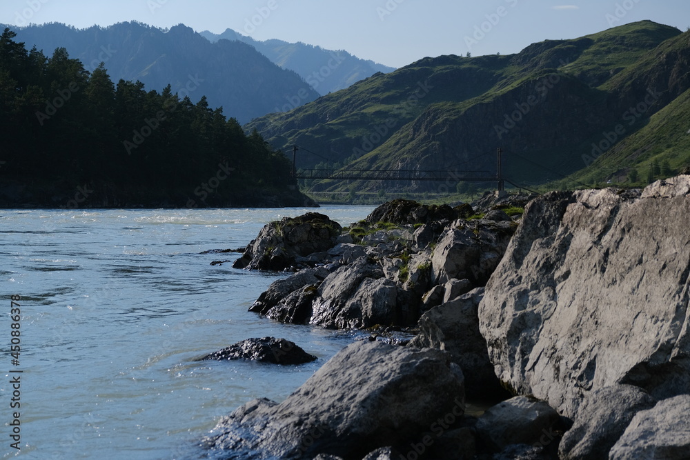 Fototapeta premium The Katun River, Altai. Mountain river flowing among the mountains. Sunny day.