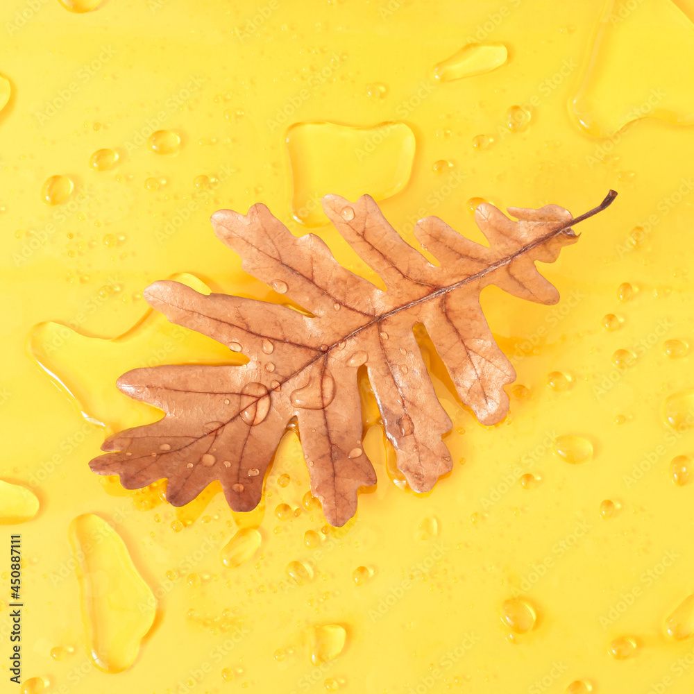 Autumn leaf with raindrops on yellow background. Minimal nature concept. Holiday season layout. Autumn leaf with raindrops on yellow background. Minimal nature concept. Holiday season layout.