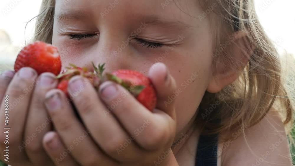Portrait of a little rural girl sniffing ripe strawberries in her hands, closing her eyes with pleasure and aroma. Portrait of a little rural girl sniffing ripe strawberries in her hands, closing her eyes with pleasure and aroma.