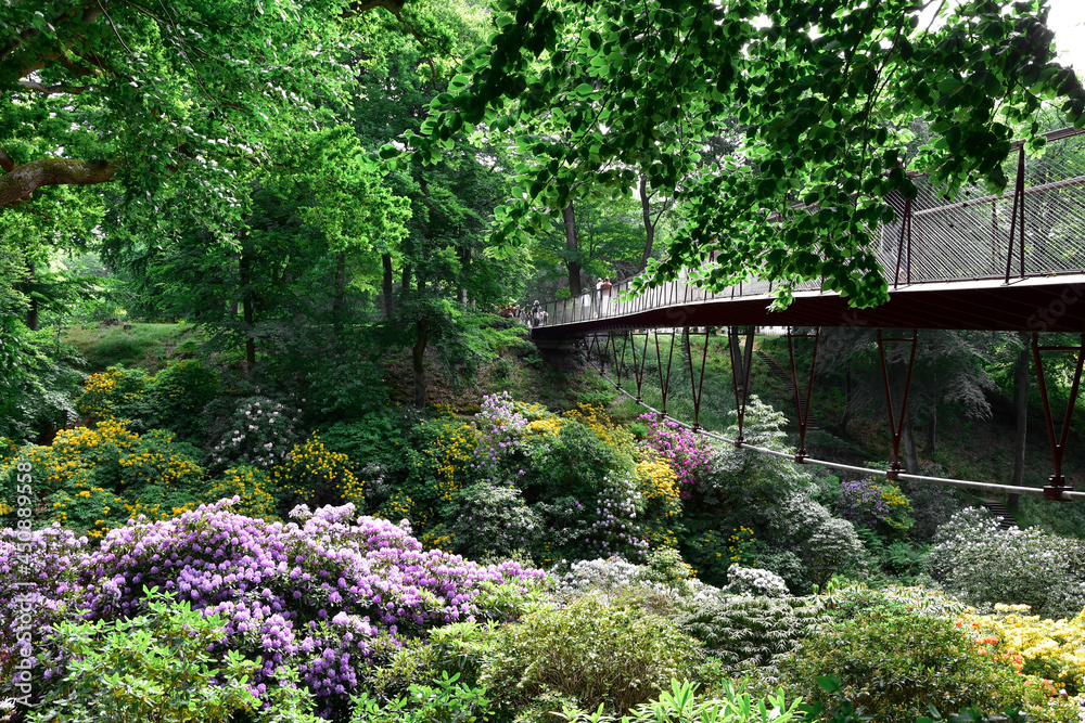 Photo of a bridge over blooming trees Photo of a bridge over blooming trees
