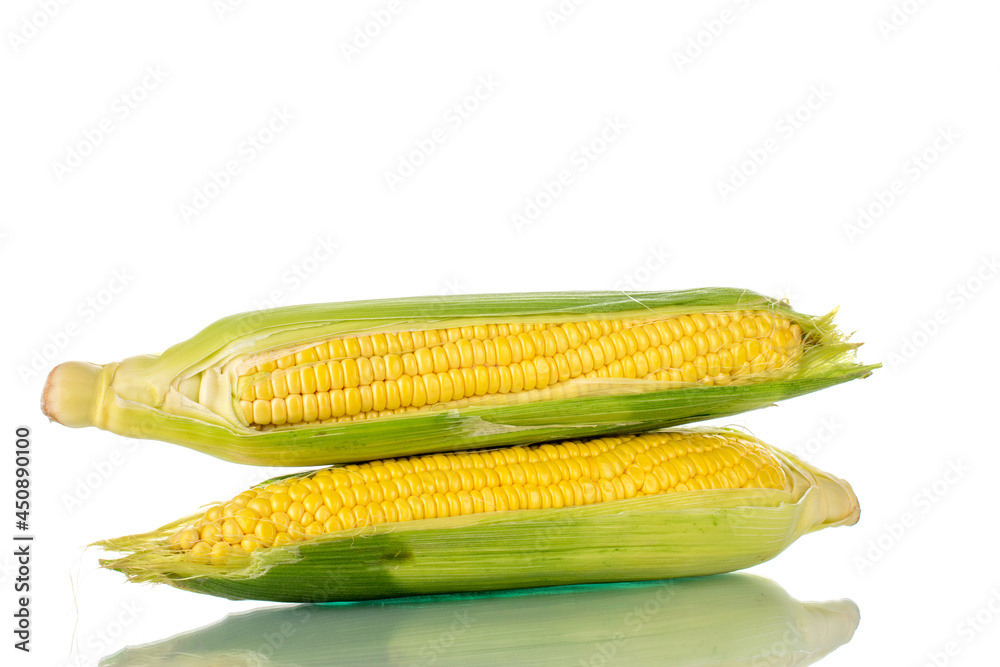 Two cobs of organic sweet corn, close-up, isolated on white. Two cobs of organic sweet corn, close-up, isolated on white.