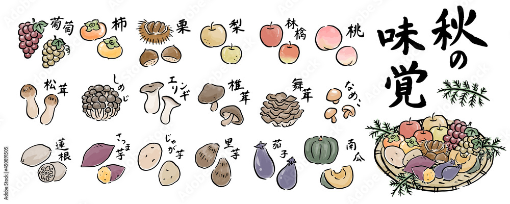 手描き 秋の味覚 いろいろな旬の食材の和風ベクターイラストセット Stock Vector Adobe Stock