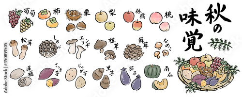 手描き　秋の味覚！いろいろな旬の食材の和風ベクターイラストセット photo