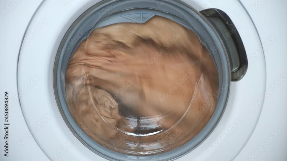 Washing machine wrings out the laundry beige bed linen, closeup window view. Modern technologies in everyday life, housework and household. Drum is rotating very quickly. Washing machine wrings out the laundry beige bed linen, closeup window view. Modern technologies in everyday life, housework and household. Drum is rotating very quickly.