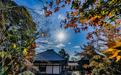太陽と寂光院の紅葉
