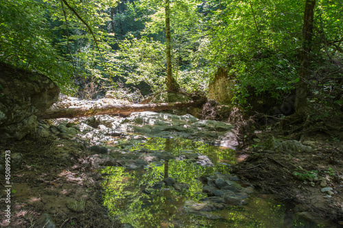 Mountain riverbed  summer sunny day  Aminov Nature Park Russia  Adygea region  traveling in the wild.