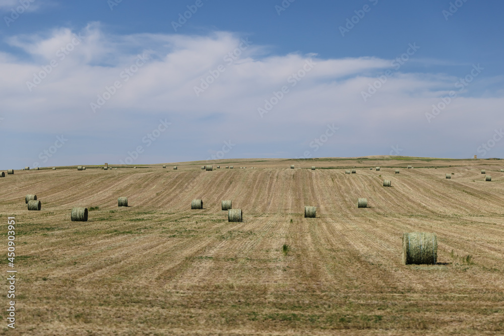 Farms and equipment along the highways of Alberta 