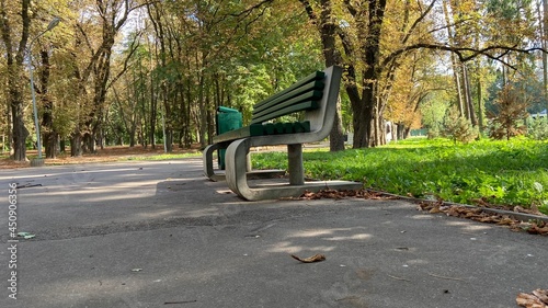 bench in park © Дмитрий Левашов
