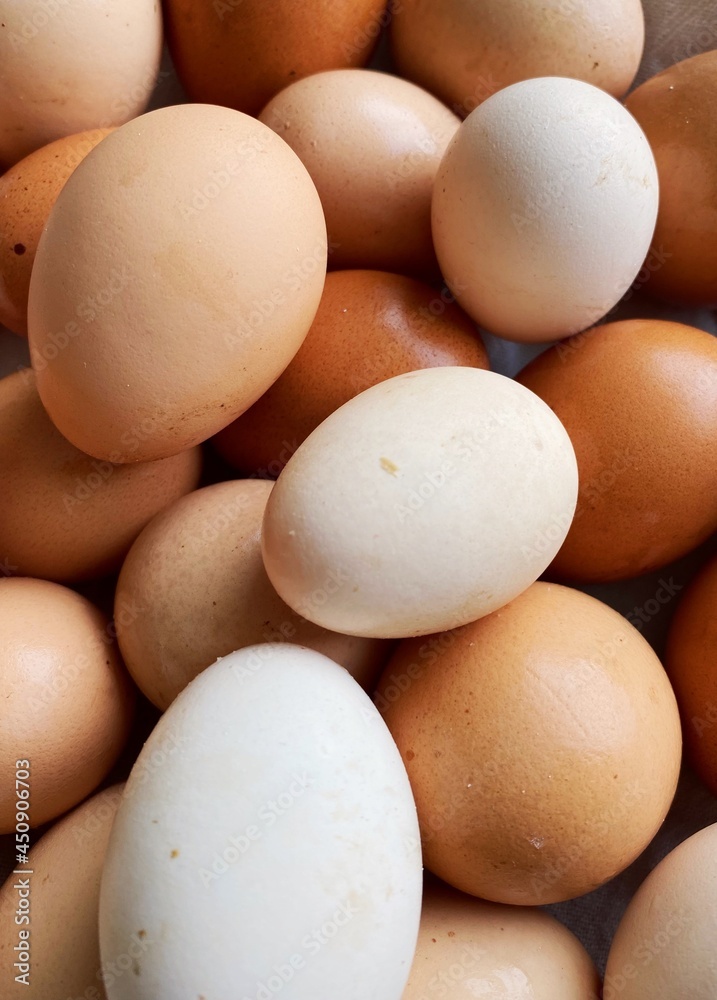 Fresh Eggs Fresh Eggs