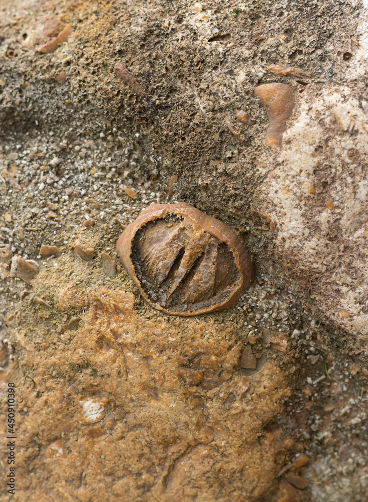 image to crop
