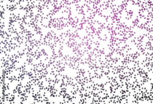 Light Purple, Pink vector template with circles.
