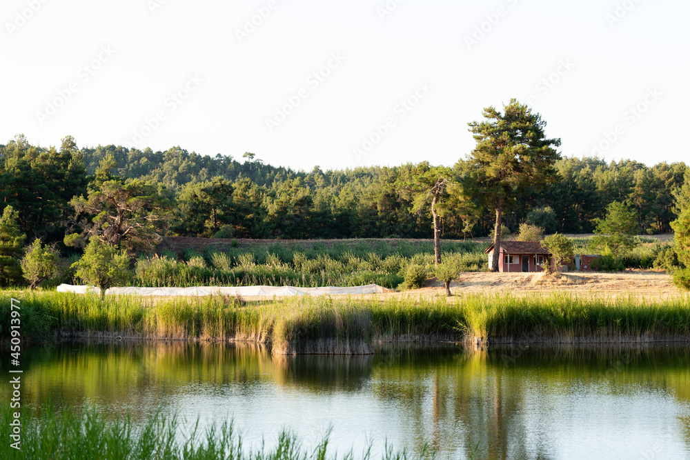 Summer Hidden Lake view in Honaz district of Denizli
Summer Hidden Lake view in Honaz district of Denizli