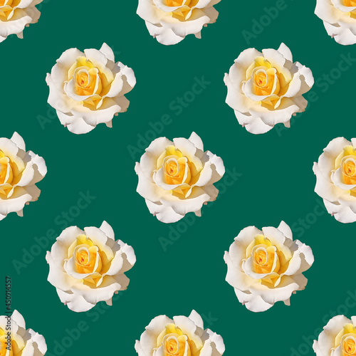 Raster seamless floral pattern of white and yellow roses on a green background.