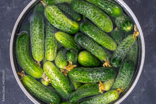 Green fresh cucumber in water in an iron bowl