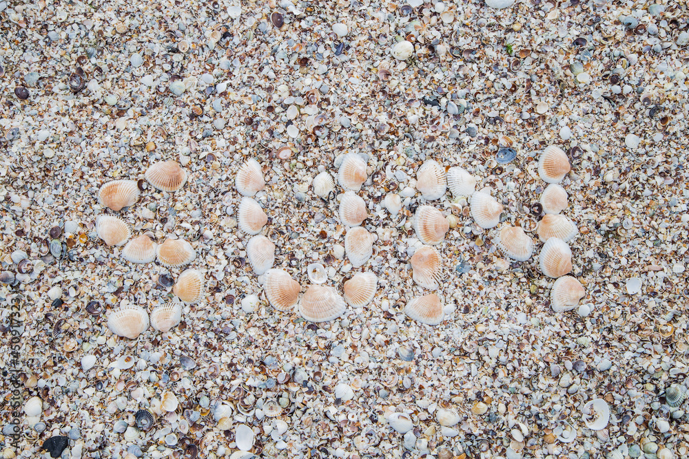 The inscription on the song SUN with large shells, background. The inscription on the song SUN with large shells, background.