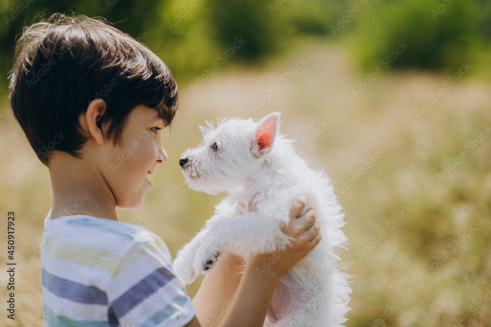 Friendship of a child with a dog. Happy boy holding a West Highland White Terrier puppy in his arms. The child walks with his puppy in the summer in the park. Friendship of a child with a dog. Happy boy holding a West Highland White Terrier puppy in his arms. The child walks with his puppy in the summer in the park.