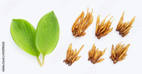 Finger root with leaves on white background.