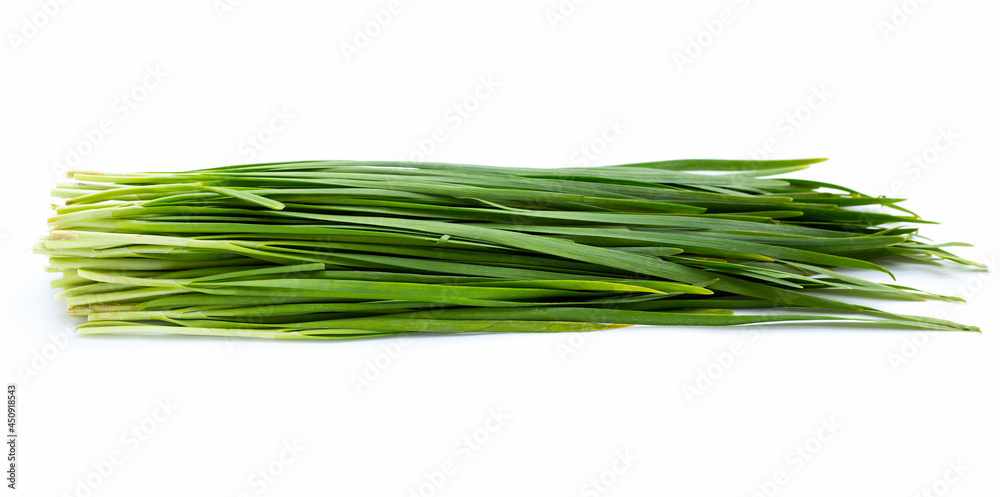 Fresh Chinese Chive leaves on white background. Fresh Chinese Chive leaves on white background.