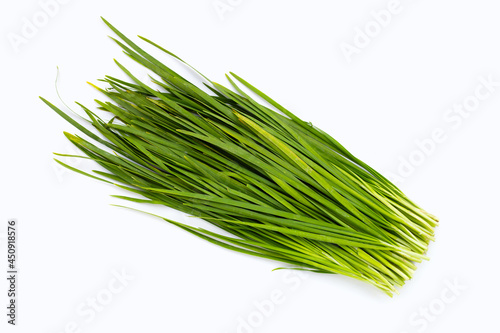 Fresh Chinese Chive leaves on white background.