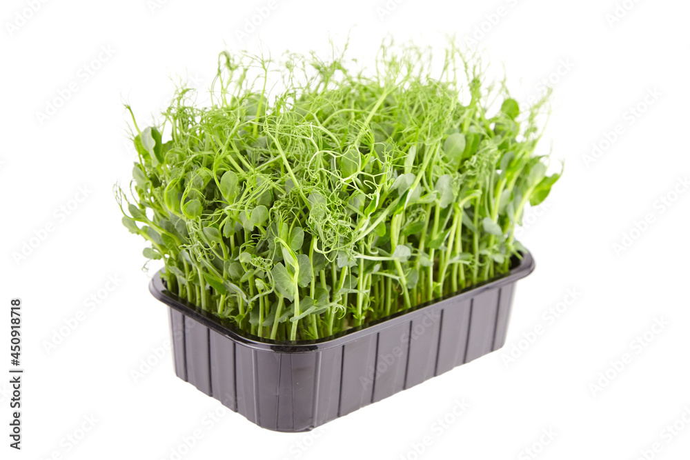 Fresh microgreens in black tray isolated on white Fresh microgreens in black tray isolated on white