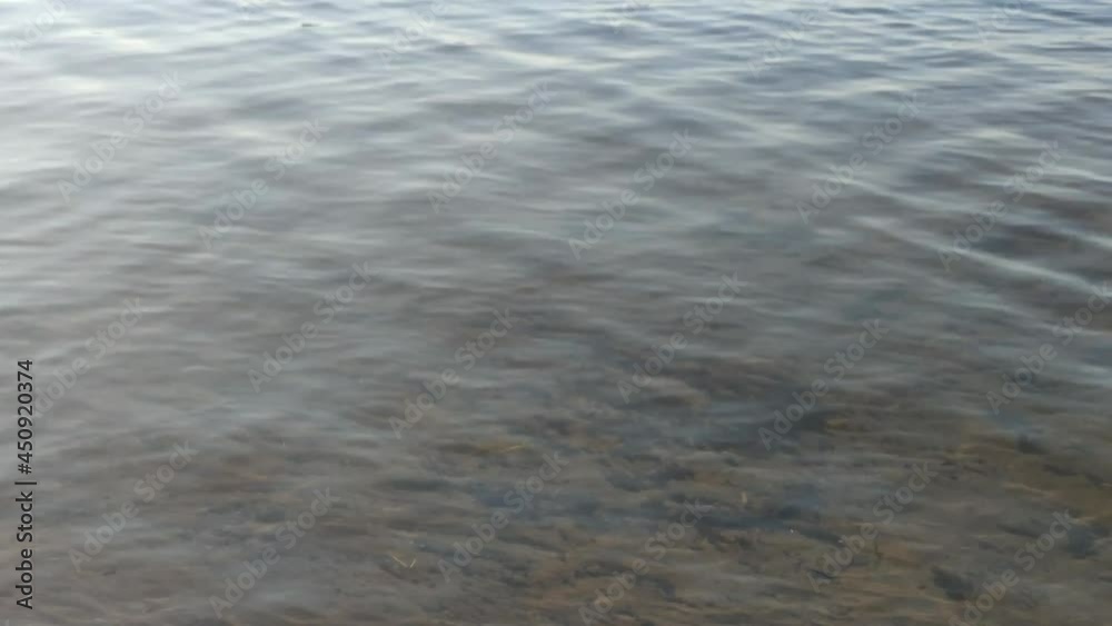 Sandy bottom of the lake with clear water. Clean clear water of a forest lake, small waves on the surface. Through the water, you can see the coastal sand, which has become ribbed due to the waves. Sandy bottom of the lake with clear water. Clean clear water of a forest lake, small waves on the surface. Through the water, you can see the coastal sand, which has become ribbed due to the waves.