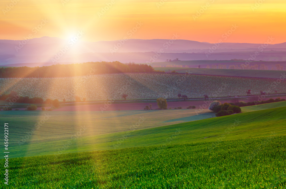 Rural spring landscape Rural spring landscape