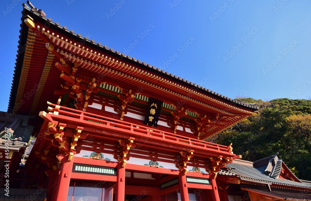 鎌倉　鶴岡八幡宮