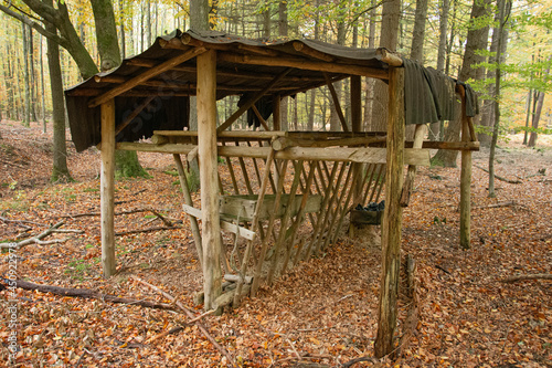 Un râtelier mangeoire pour gibier dans les forêts ardennaises