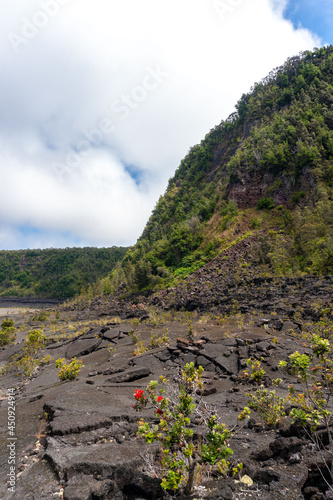 Volcanoes National park Hilo Hawaii