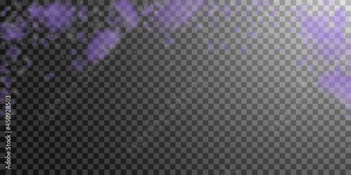 Violet flower petals falling down. Alive romantic
