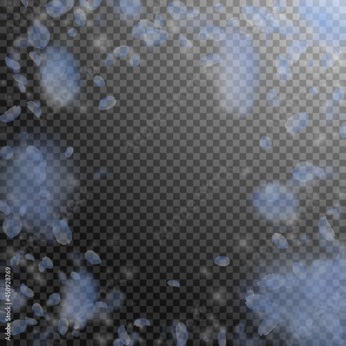 Light blue flower petals falling down. Curious rom