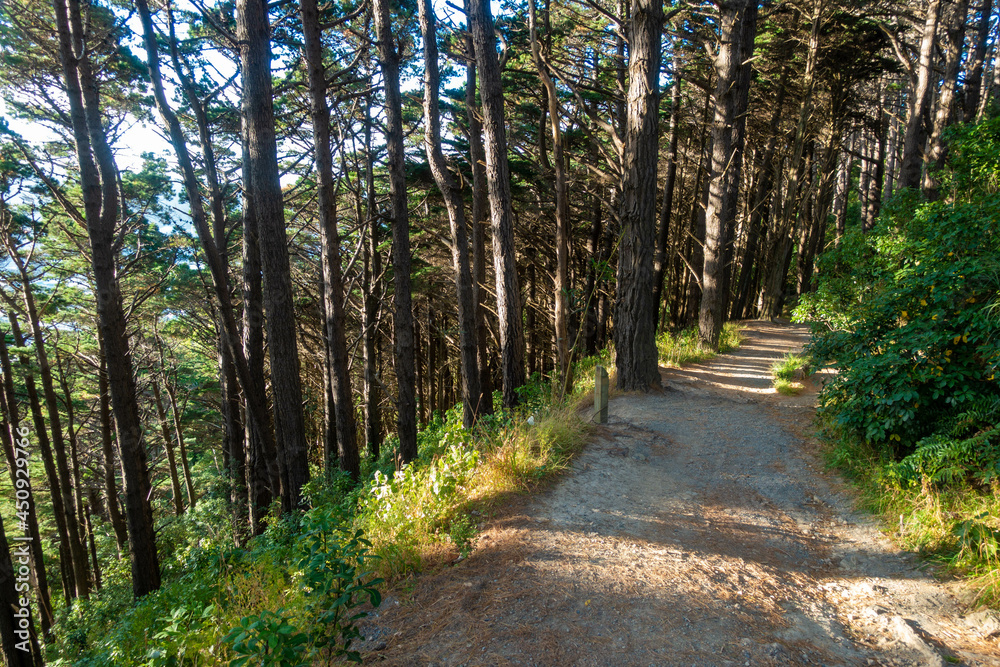 ニュージーランドのウェリントンの観光名所を観光している風景 Wellington, New Zealand Scenes of sightseeing in ニュージーランドのウェリントンの観光名所を観光している風景 Wellington, New Zealand Scenes of sightseeing in