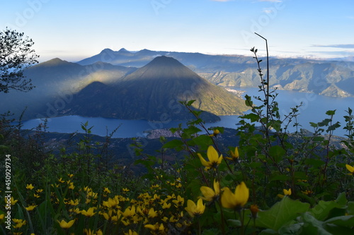 Flores hermosas con una ciudad en las faldas de un volcán 