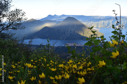 Flores hermosas con una ciudad en las faldas de un volcán 