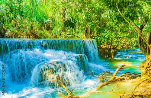 Fototapeta Naklejka Na Ścianę i Meble -  Worlds most beautiful waterfalls Kuang Si waterfall Luang Prabang Laos.