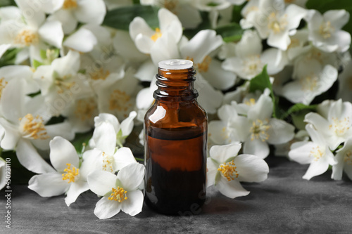 Jasmine essential oil and fresh flowers on grey table