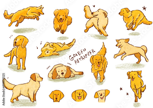 動物、犬、ペット、かわいい、イラスト、集、コレクション、わんこ、愛玩動物、子犬、挿絵、ブリード、仔犬、こいぬ、哺乳類、茶色、レトリーバー、ゴールデン、ゴールデンレトリーバー、レトリバー、金色、遊び、跳ねる、飛び跳ねる、顔、表情