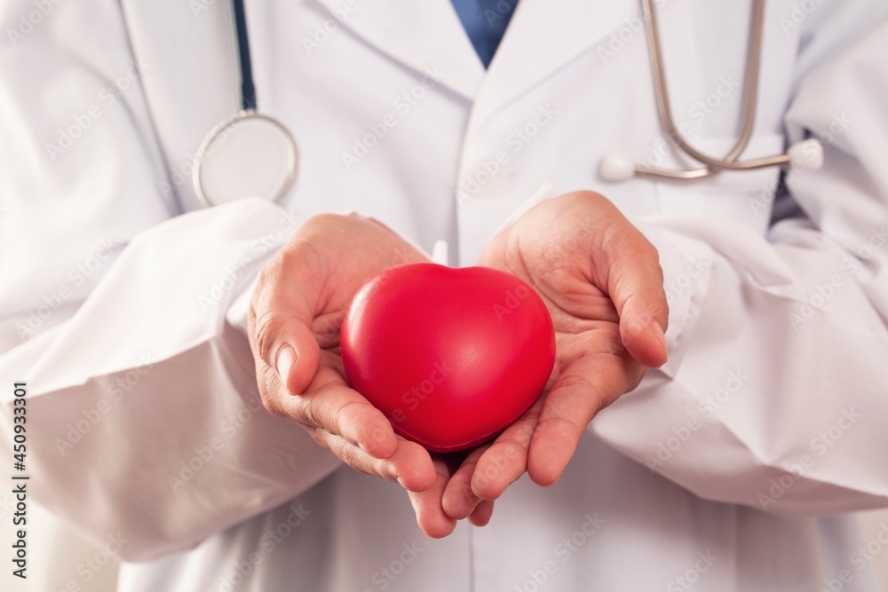 Doctor holding heart in hand, heart disease treatment concept Doctor holding heart in hand, heart disease treatment concept