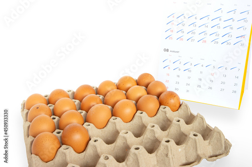 Eggs in paper panel and calendar with blue ink scribbles on white background concept of food hoarding when food is scarce by using only one egg per day or home quarantine