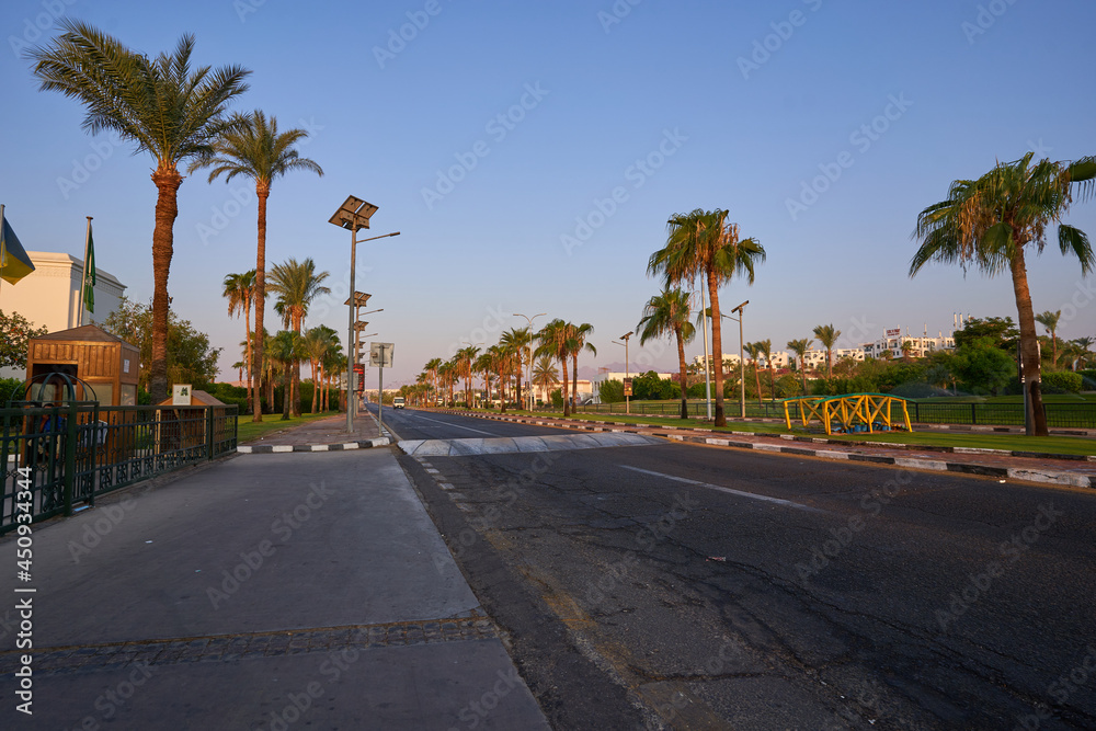 Typical street in the resort part of the Sinai Peninsula Egypt. Street with palm trees Sharm El Sheikh Egypt