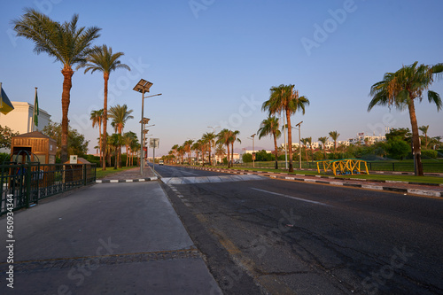 Typical street in the resort part of the Sinai Peninsula Egypt. Street with palm trees Sharm El Sheikh Egypt