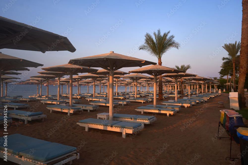 Umbrellas and sun loungers at luxury tropical resort on coral beach in the Red Sea. Resort complex on Red Sea. Typical resort beach.