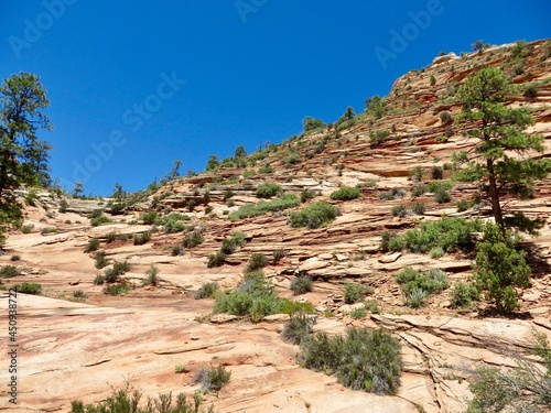 Zion National Park