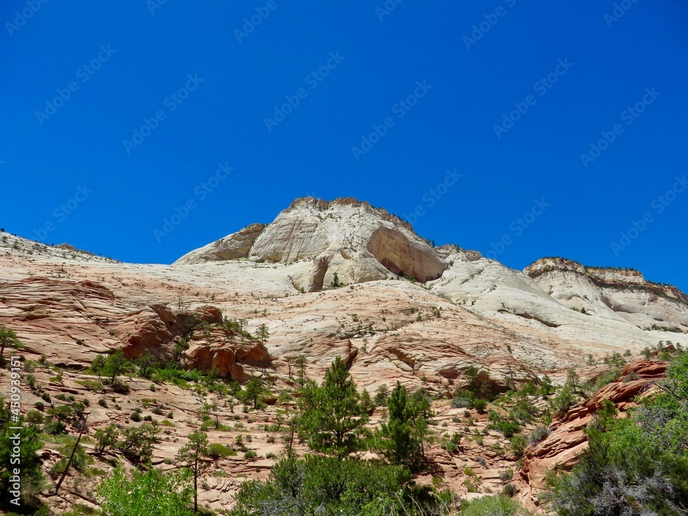 zion national park